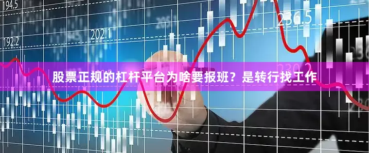 股票正规的杠杆平台为啥要报班？是转行找工作